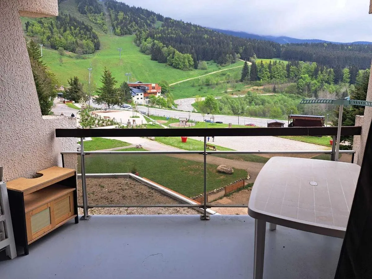 Charmant 3 Pieces Renove 66M², 6 Pers, Au Pied Des Pistes A Villard-De-Lans - Fr-1-689-128
